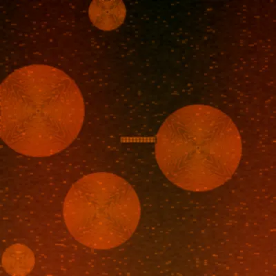 澳洲幸运8极速赛车火焰轮胎图标